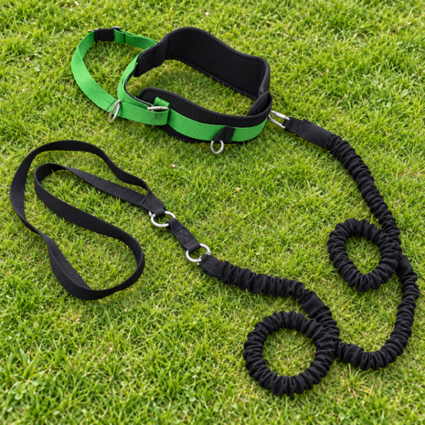 DELUXE HARNESS