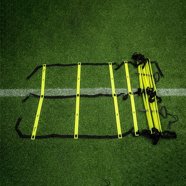 DUAL AGILITY LADDER